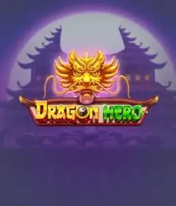 Embark on a fantastic quest with the Dragon Hero game by Pragmatic Play, showcasing vivid graphics of mighty dragons and epic encounters. Venture into a world where fantasy meets thrill, with featuring treasures, mystical creatures, and enchanted weapons for a thrilling adventure.