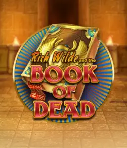 Dive into the thrilling world of Book of Dead Slot by Play'n GO, featuring vivid graphics of Rich Wilde's journey through ancient Egyptian tombs and artifacts. Uncover lost riches with captivating mechanics like free spins, expanding icons, and a gamble option. Ideal for those seeking adventure with a desire for exciting finds.